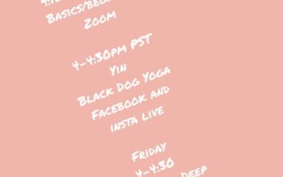 Thursday 3/19 Online Yoga Classes